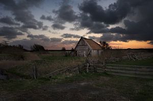 Kippenschuur Den Hoorn Texel van Ingrid Honders