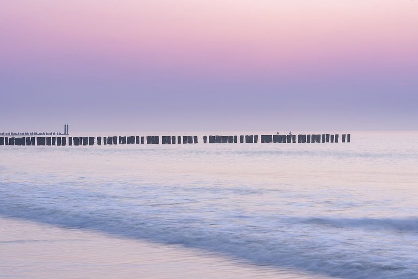 Brume violette après le coucher du soleil près de Domburg par la mer par Dave Zuuring
