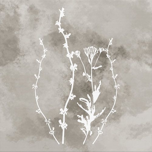 Nuvole di Prato. Abstracte Botanische Minimalist in retro taupe