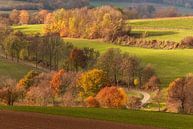 Fromberg in herfstkleuren van John Kreukniet thumbnail