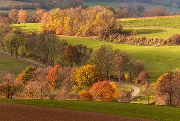 Fromberg in herfstkleuren van John Kreukniet