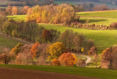 Fromberg in herfstkleuren