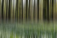 Haller forest abstract von Menno Schaefer Miniaturansicht