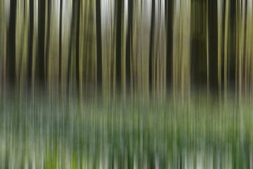Haller forest abstract by Menno Schaefer