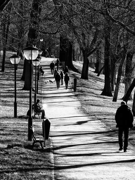 Wandelen in het Zocherpark in Utrecht (portrait) van André Blom Fotografie Utrecht