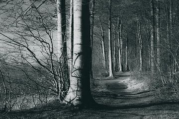 Gespensterwald? von Heiko Westphalen