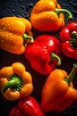 Paprika van Steffen Gierok thumbnail