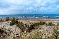 Warm avondlicht valt op het duin landschap aan de kust.