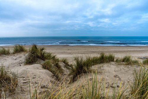 Warmes Abendlicht fällt auf die Küstendünenlandschaft.