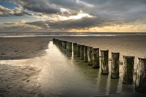 Poteaux dans l'eau de Westenschouwen, Zélande