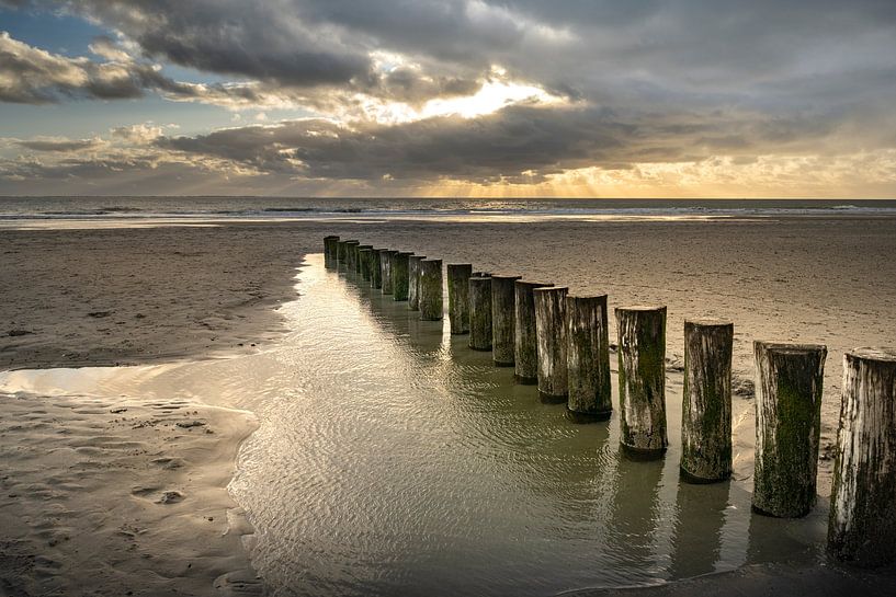 Poles in the water of Westenschouwen, Zeeland by Paula Romein