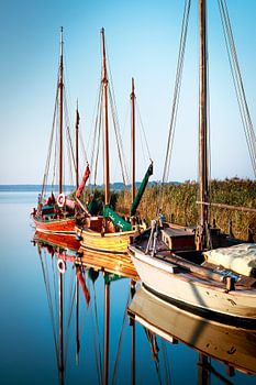 Boten in de haven