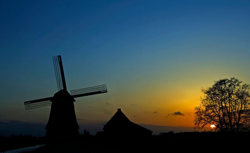 De Kathammer in het blauwe uurtje van Jack Tol