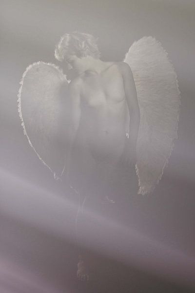 Angel 17 by Jeroen Schipper