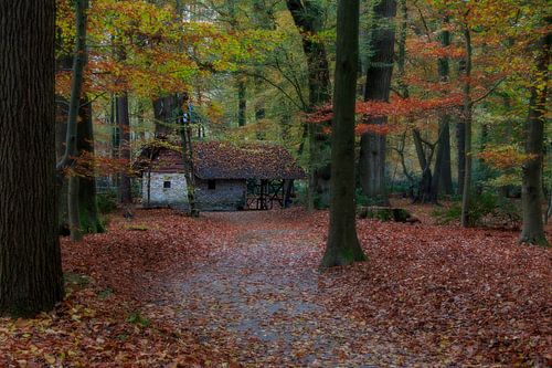 Knibbel Knabbel Knuisje (1)