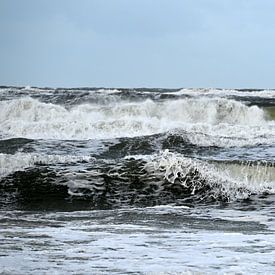 Power of the stormy sea. by Jose Lok