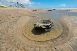 Strand met steen von Leon Doorn