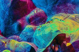 Dog face on smooth grotto wall.