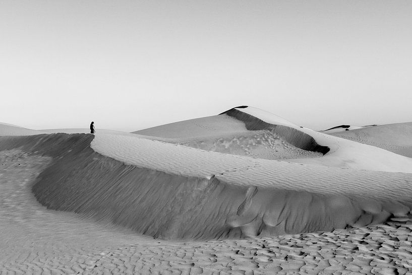 Dunes by Pierre Verhoeven