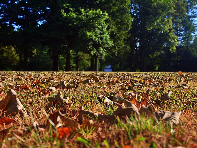Herfst van Edgar Schermaul