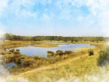 Brabantse Kempen, Nordbrabant von Danny de Klerk