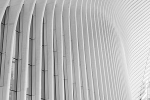 L'Oculus en gros plan - New York