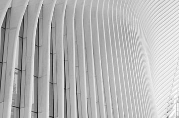 L'Oculus en gros plan - New York