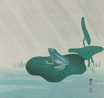 Kikker in regen, Ohara Koson