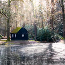 Het schuurtje aan de vijver achter paleis 't Loo van P Kuipers