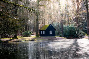 The shed by the pond behind palace 't Loo by P Kuipers