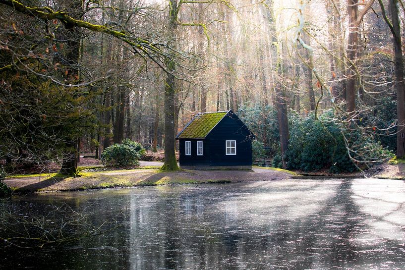 La cabane près de l'étang derrière le palais &#039;t Loo par Peter Kuipers