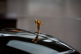 Symbole &amp ; Style - Pleins feux sur les faces avant des véhicules