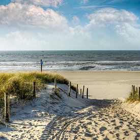 Manier in de duinen naar het strand van Peter Roder