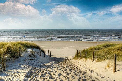 Loin dans les dunes à la plage  sur Peter Roder