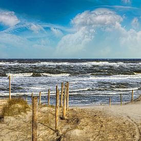 Path through the dunes to the beach sur Peter Roder