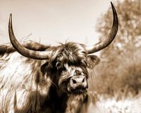 Primal Sepia 5