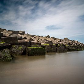 Briques sur Lennert Trevels