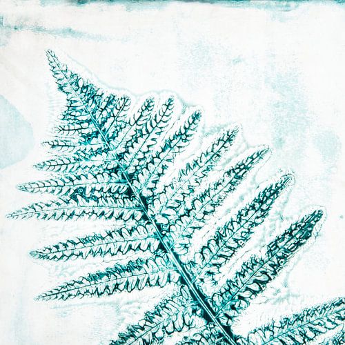 Varenblad, mixed media print