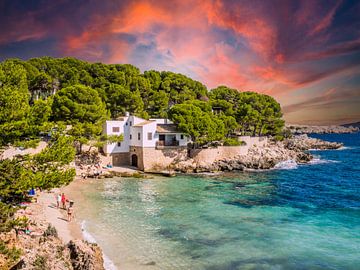 Cala Gat strand in Cala Ratjada, Mallorca van Animaflora PicsStock