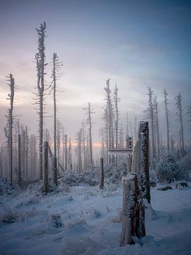 Sunrise near the Brocken by t.ART