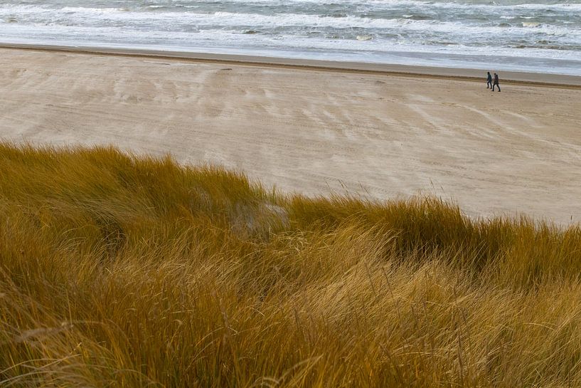Beach activity by Anna Thiessen