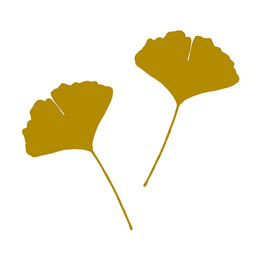 Japandi, Blad van Ginkgo Biloba