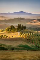 Mooi Toscane met Podere in het ochtendlicht.