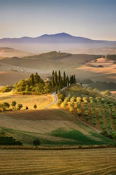 Mooi Toscane met Podere in het ochtendlicht. van Voss Fine Art Fotografie