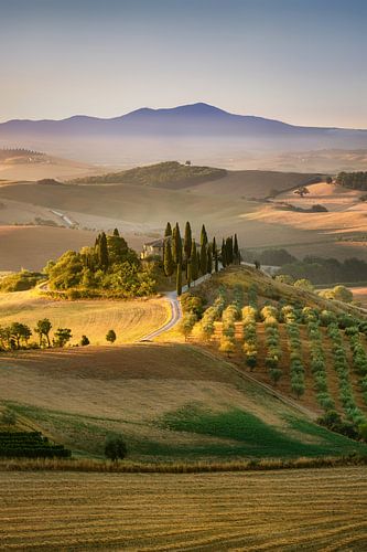 Mooi Toscane met Podere in het ochtendlicht. van Voss fotografie
