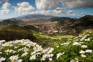 Anaga Gebirge, Insel Teneriffa, Kanarische Inseln