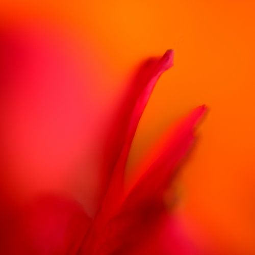 Couleurs et formes 2 sur Jaap Tanis