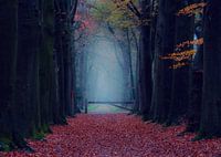 Magisch bos