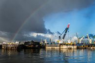 Regenboog over de Waalhaven. van Ton de Koning thumbnail