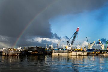 Regenboog over de Waalhaven.